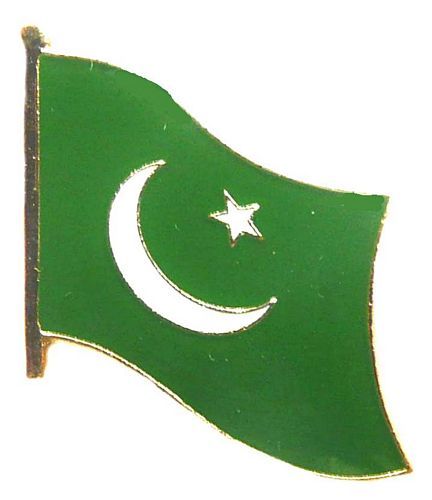 Flaggen Pin Pakistan NEU Fahne Flagge Anstecknadel