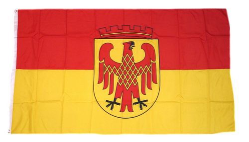 Fahne Flagge Endlich Sommer Frösche 90 x 150 cm 