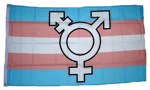 Fahne / Flagge Transgender Symbol 90 x 150 cm