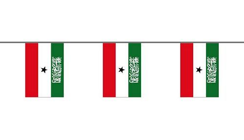 Flaggenkette Somaliland 6 m
