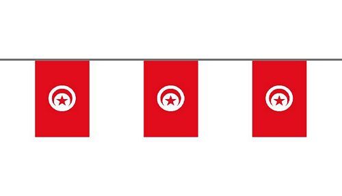 Flaggenkette Tunesien 6 m