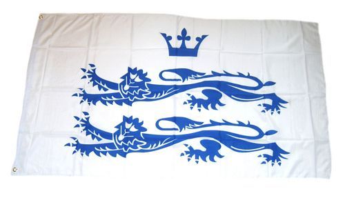 Fahne / Flagge England - Berkshire 90 x 150 cm