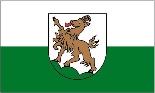 Fahne / Flagge Österreich - Kitzbühel 90 x 150 cm