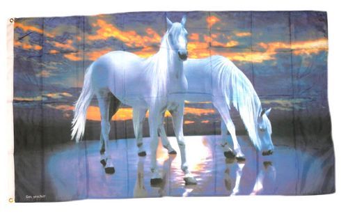 Fahne / Flagge Pferde 90 x 150 cm