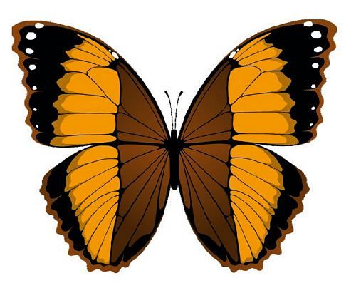 Aufkleber Sticker Schmetterling orange