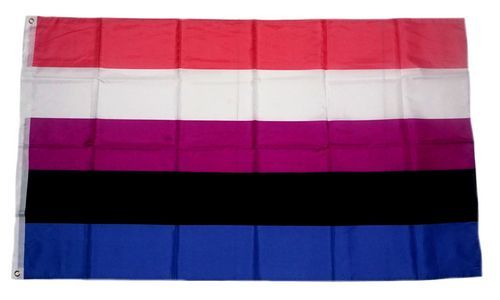 Fahne / Flagge Genderfluid 90 x 150 cm