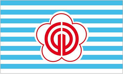 Flagge / Fahne Taiwan - Taipeh Hissflagge 90 x 150 cm