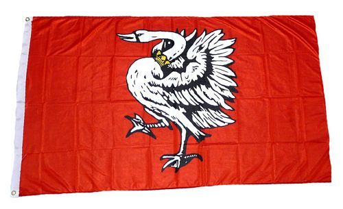 Fahne / Flagge Kreis Stormarn 90 x 150 cm