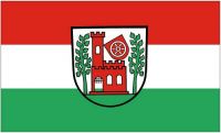 Fahne / Flagge Walldürn 90 x 150 cm Fahne / Flagge Walldürn 90 x 150 cm