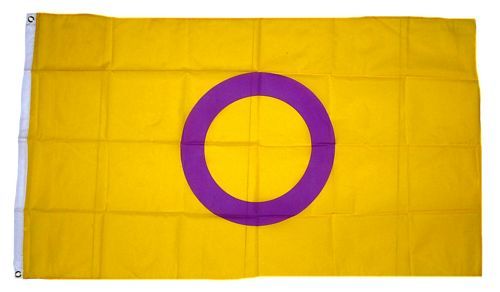 Fahne / Flagge Intersex Pride 90 x 150 cm