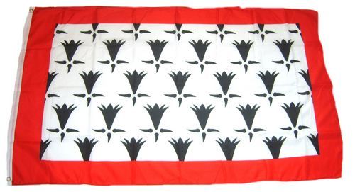 Fahne / Flagge Frankreich - Limousin 90 x 150 cm