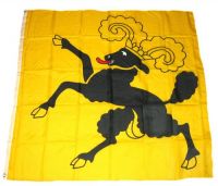 Fahne / Flagge Schweiz - Schaffhausen 120 x 120 cm Fahne / Flagge Schweiz - Schaffhausen 120 x 120 cm