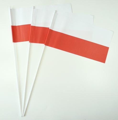 10 Papierfähnchen Polen Papierfahnen Fahne Flagge
