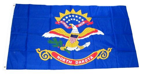 Flagge USA Nevada NEU 90 x 150 cm Flaggen Fahne