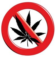 Aufkleber Sticker STOP Cannabis Hanf Aufkleber Sticker STOP Cannabis Hanf