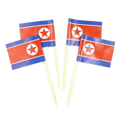 50 Minifahnen Dekopicker Nordkorea 30 x 40 mm