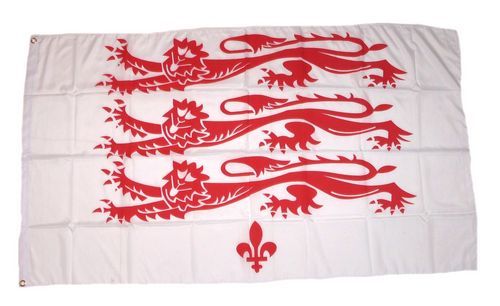 Fahne / Flagge England - Dorset 90 x 150 cm