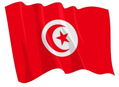 Fahnen Aufkleber Sticker Tunesien wehend