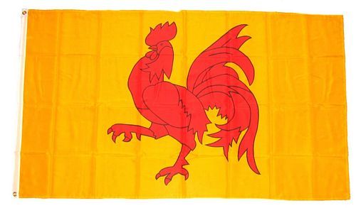 Fahne / Flagge Belgien - Wallonien 90 x 150 cm