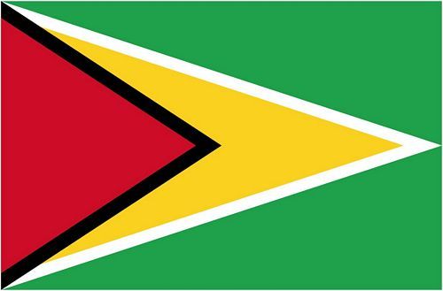 Fahnen Aufkleber Sticker Guyana