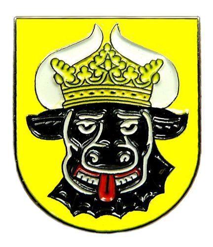 Pin Mecklenburg Ochsenkopf Wappen Anstecker NEU Anstecknadel