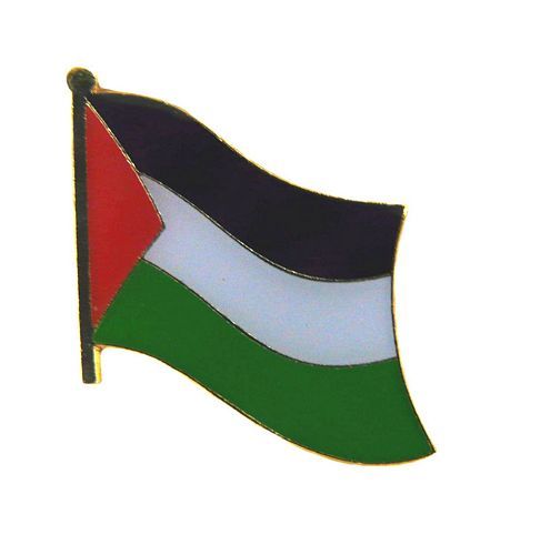Flaggen Pin Palästina NEU Fahne Flagge Anstecknadel