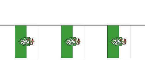 Flaggenkette Österreich - Steiermark 6 m