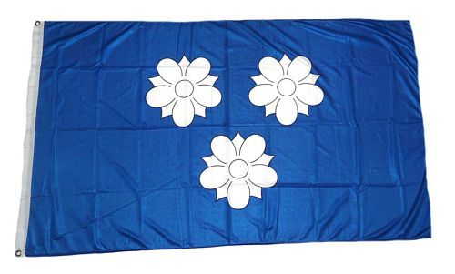 Fahne / Flagge Viersen 90 x 150 cm