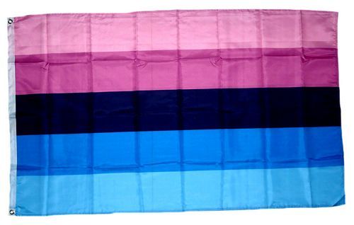 Fahne / Flagge Omnisexuell Pride 90 x 150 cm
