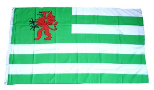 Fahne / Flagge England - Wiltshire 90 x 150 cm