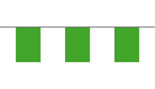 Flaggenkette Einfarbig Grün 6 m