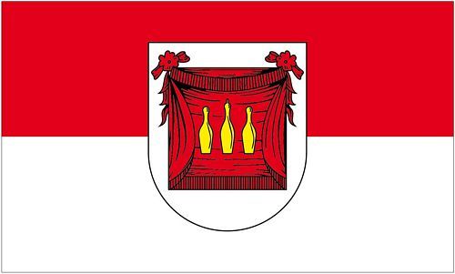 Fahne / Flagge Rodewisch 90 x 150 cm