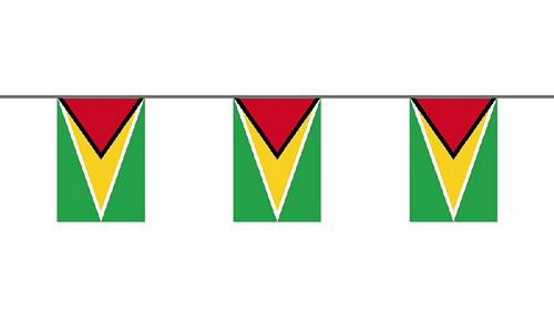 Flaggenkette Guyana 6 m