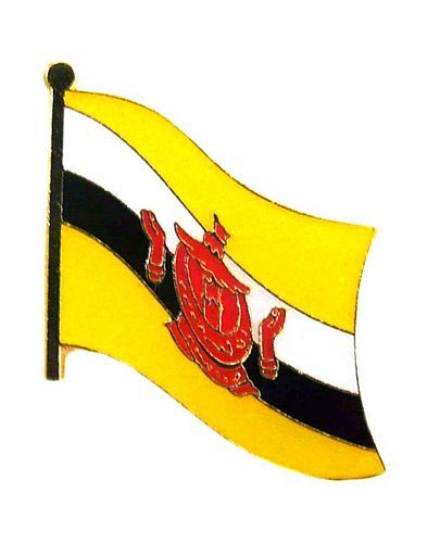 Flaggen Pin Brunei NEU Fahne Flagge Anstecknadel