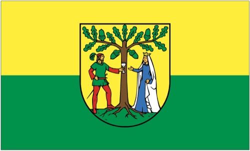 Fahne / Flagge Triptis 90 x 150 cm