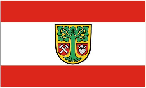 Fahne Flagge Landkreis Barnim 90 x 150 cm