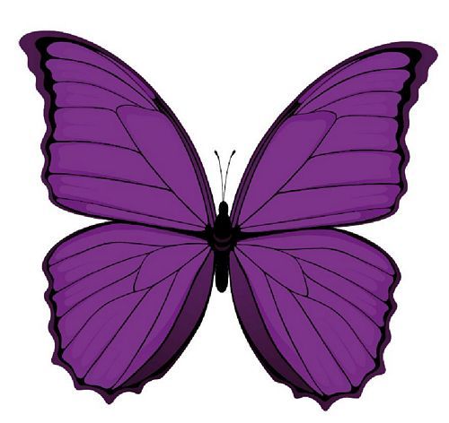 Aufkleber Sticker Schmetterling lila