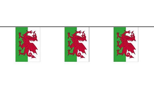 Flaggenkette Wales 6 m