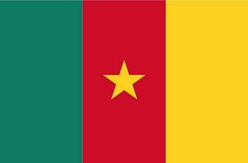 Fahnen Aufkleber Sticker Kamerun