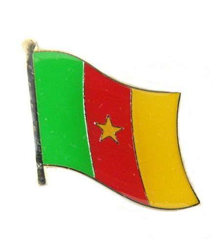 Flaggen Pin Fahne Kamerun Pins NEU Anstecknadel Flagge