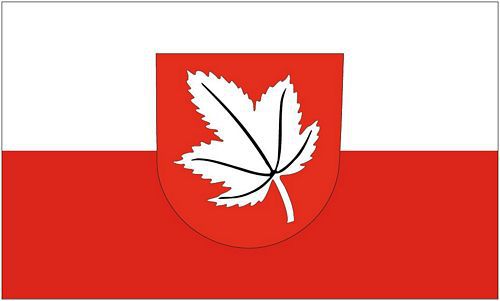 Flagge / Fahne Ahorn Baden Hissflagge 90 x 150 cm