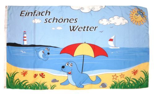 Fahne Flagge Wetter Wetterfrosch Frosch Sonne 90x150 cm Hissfahne mit Ösen 