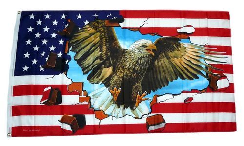 Fahne / Flagge USA - Adler Steine 90 x 150 cm