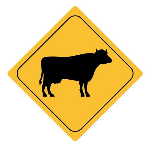 Aufkleber Sticker Achtung Kuh Autoaufkleber