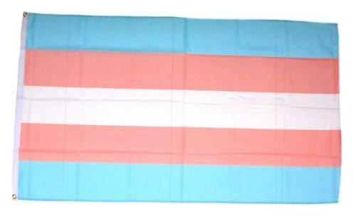 Fahne / Flagge Transgender Gender 90 x 150 cm