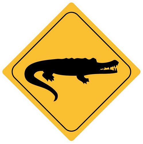 Autoaufkleber Sticker Achtung Krokodil Alligator NEU Aufkleber