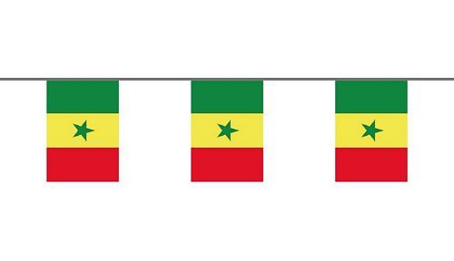 Flaggenkette Senegal 6 m