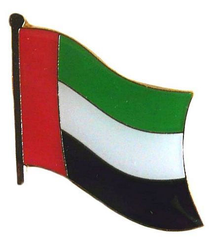 Flaggen Pin Vereinigte Arabische Emirate NEU Fahne Flagge Anstecknadel