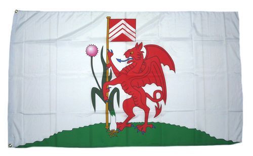 Fahne / Flagge Wales - Cardiff 90 x 150 cm