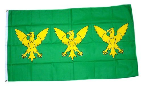 Fahne / Flagge Wales - Caernarfonshire 90 x 150 cm